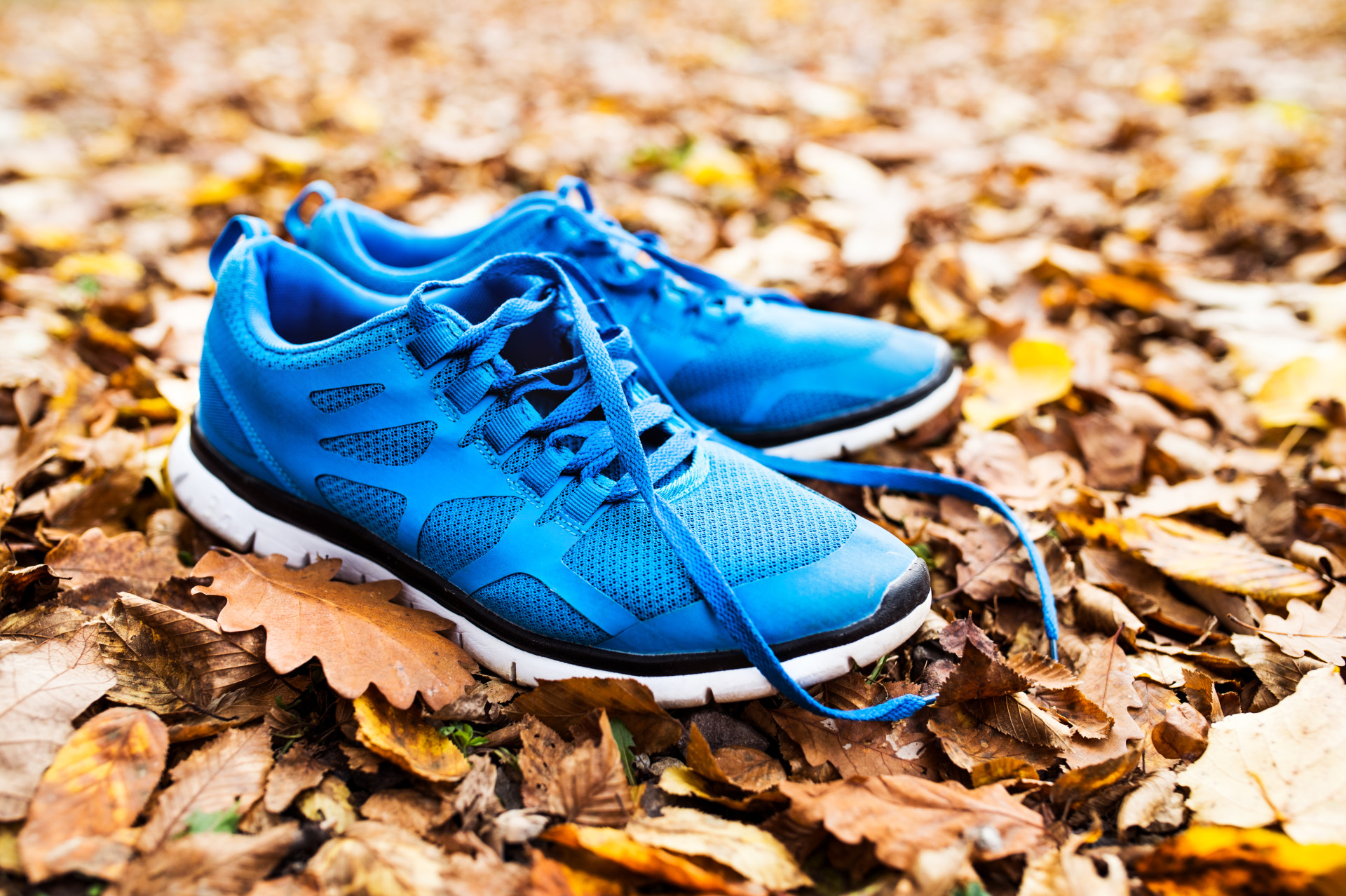 Trainers Sneakers